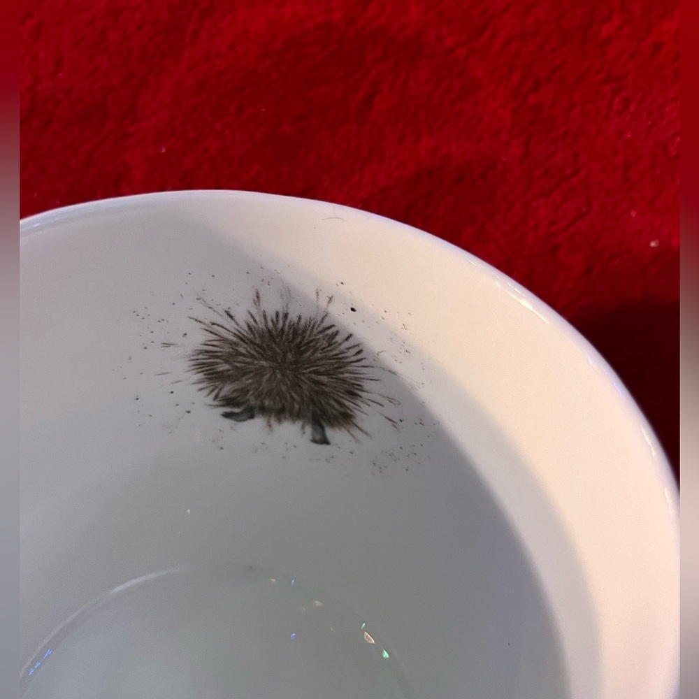 Cute hedgehog coffee mug/tea cup - Picture 4 of 4